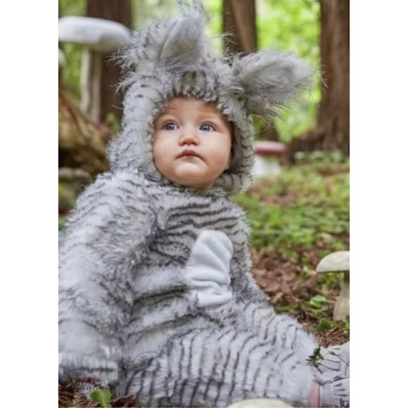 Pottery Barn Kids Costumes Pottery Barn Kids Woodland Squirrel Baby
